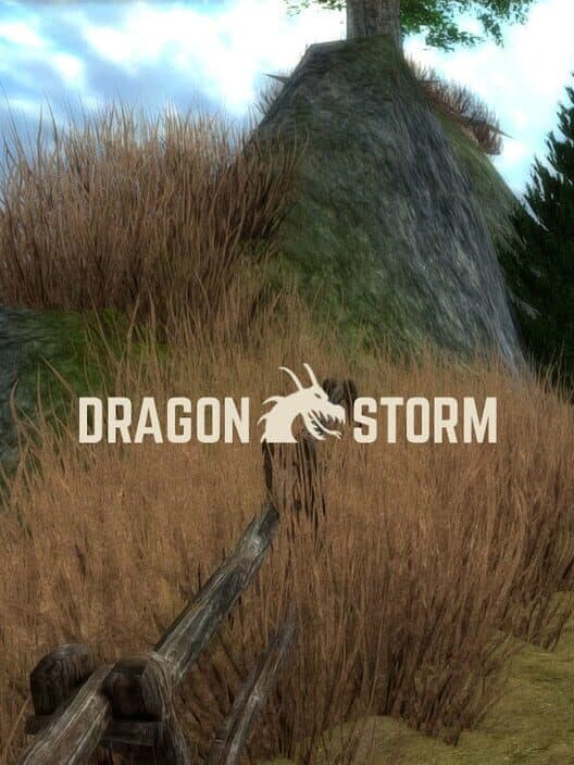 Jaquette de Dragon Storm