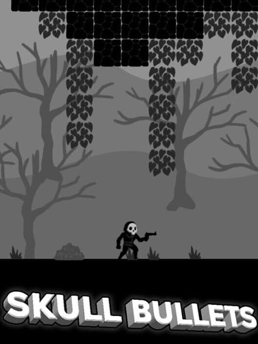Jaquette de Skull Bullets