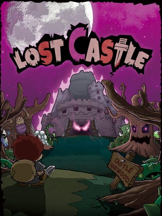 Jaquette de Lost Castle