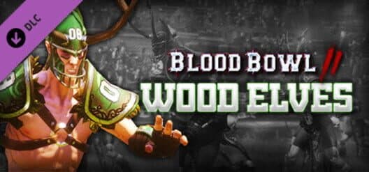 Jaquette de Blood Bowl 2: Wood Elves